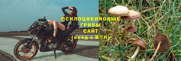 молекула духа Армянск