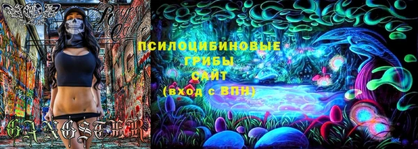 молекула духа Армянск
