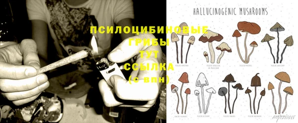 бошки Арсеньев