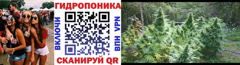 Марихуана конопля  как найти закладки  Лысково 